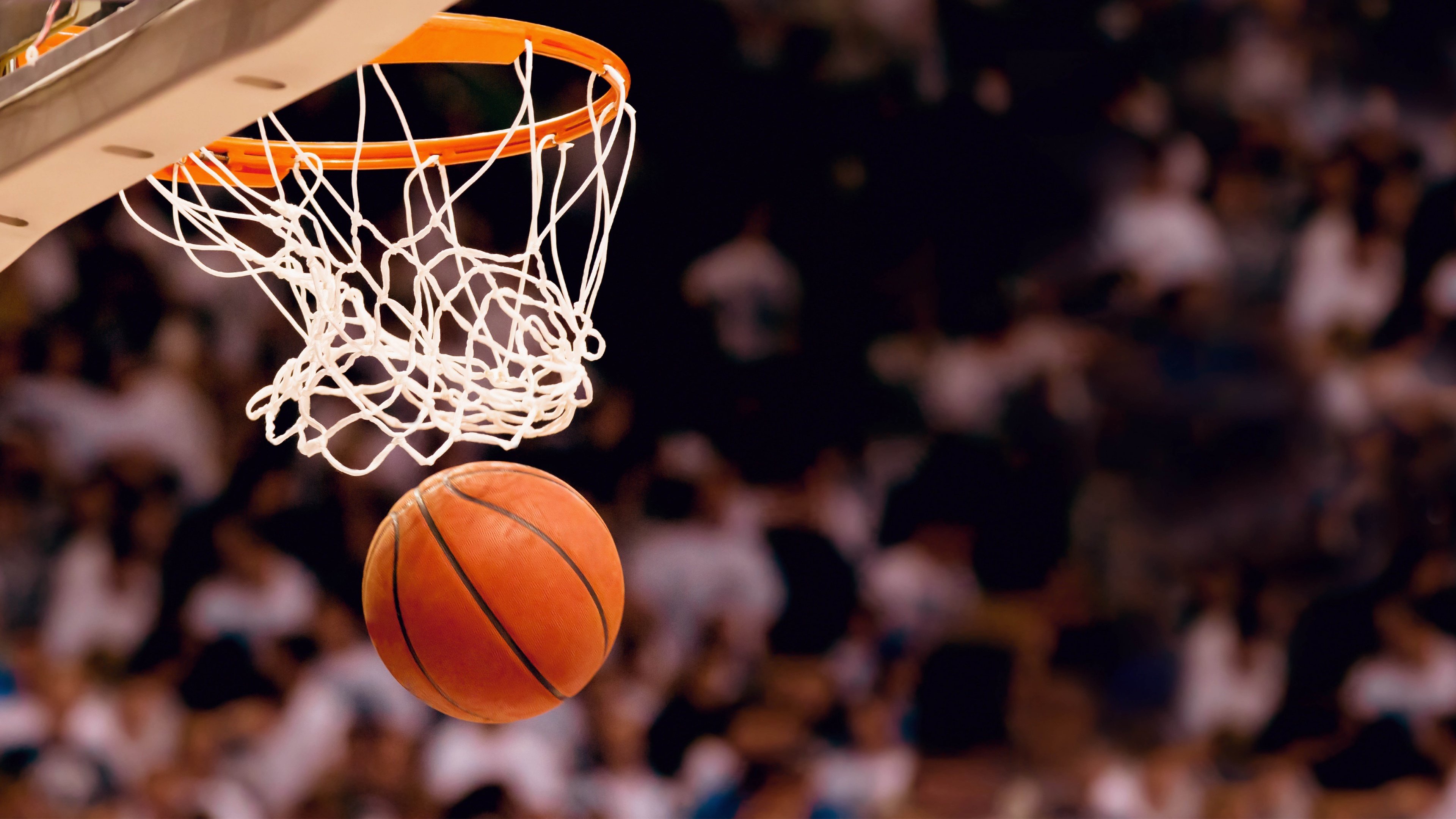 铁蹄下的镣铐,字母哥与雄鹿在NBA新规下的争议漩涡,新规·巨星·争议漩涡,字母哥与雄鹿的困局
